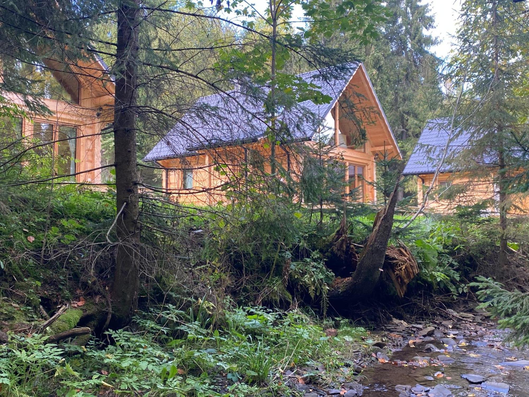 Domki Z Dostepem Do Spa I Restauracji Łapsze Niżne Εξωτερικό φωτογραφία
